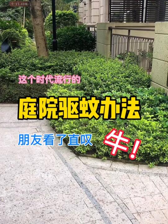 制驱蚊｜给家人无蚊保护｜豪宅庭院都在用