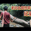 老挝岳父展示绝活，中国女婿看傻眼！第一次深入东南亚原始森林