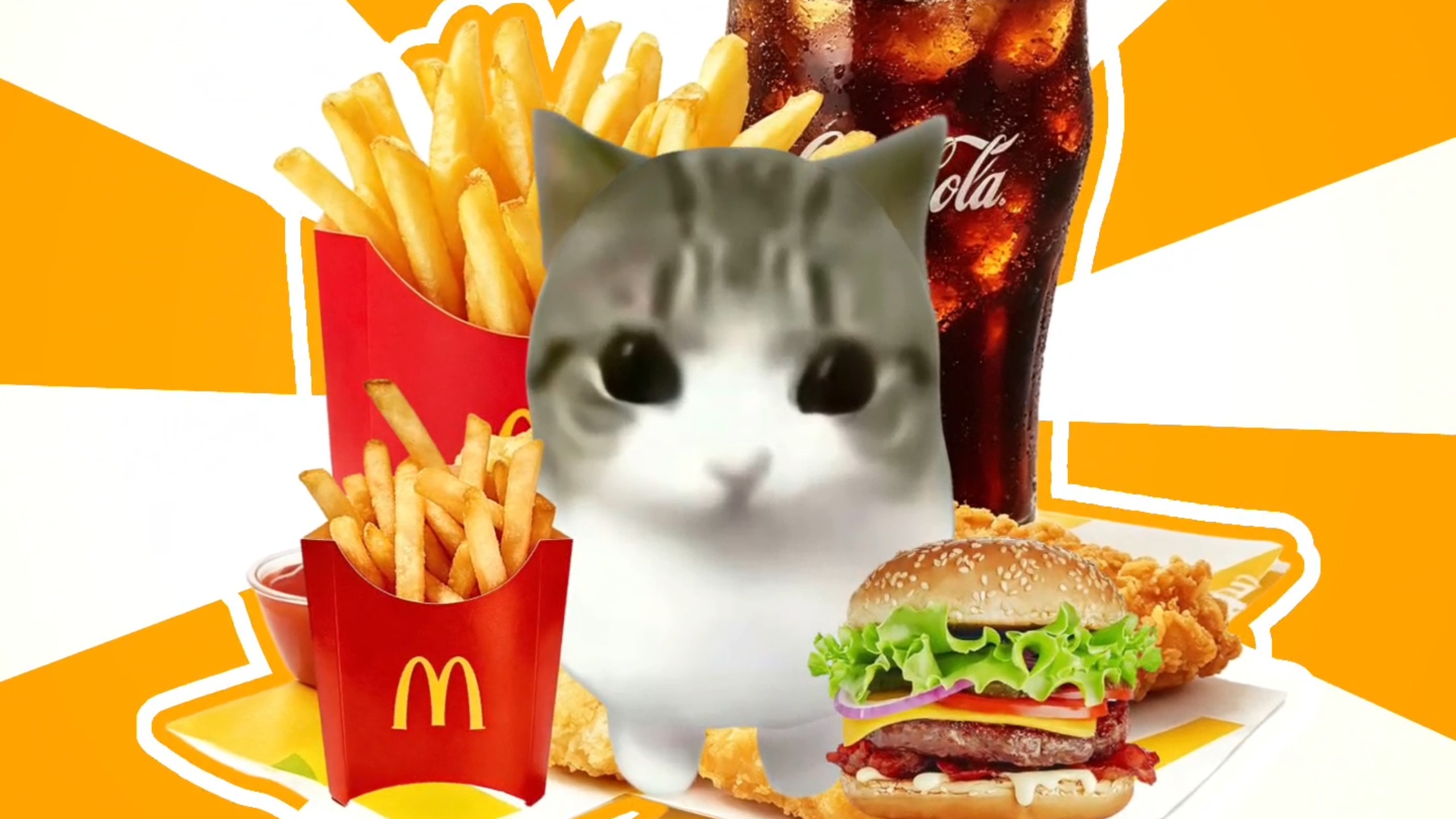 小猫疯狂星期四