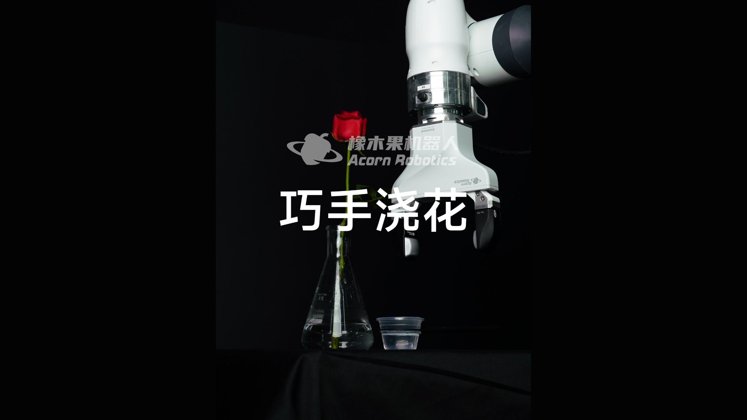 硬核浇花！看机械手如何用水瓢伺候花瓶