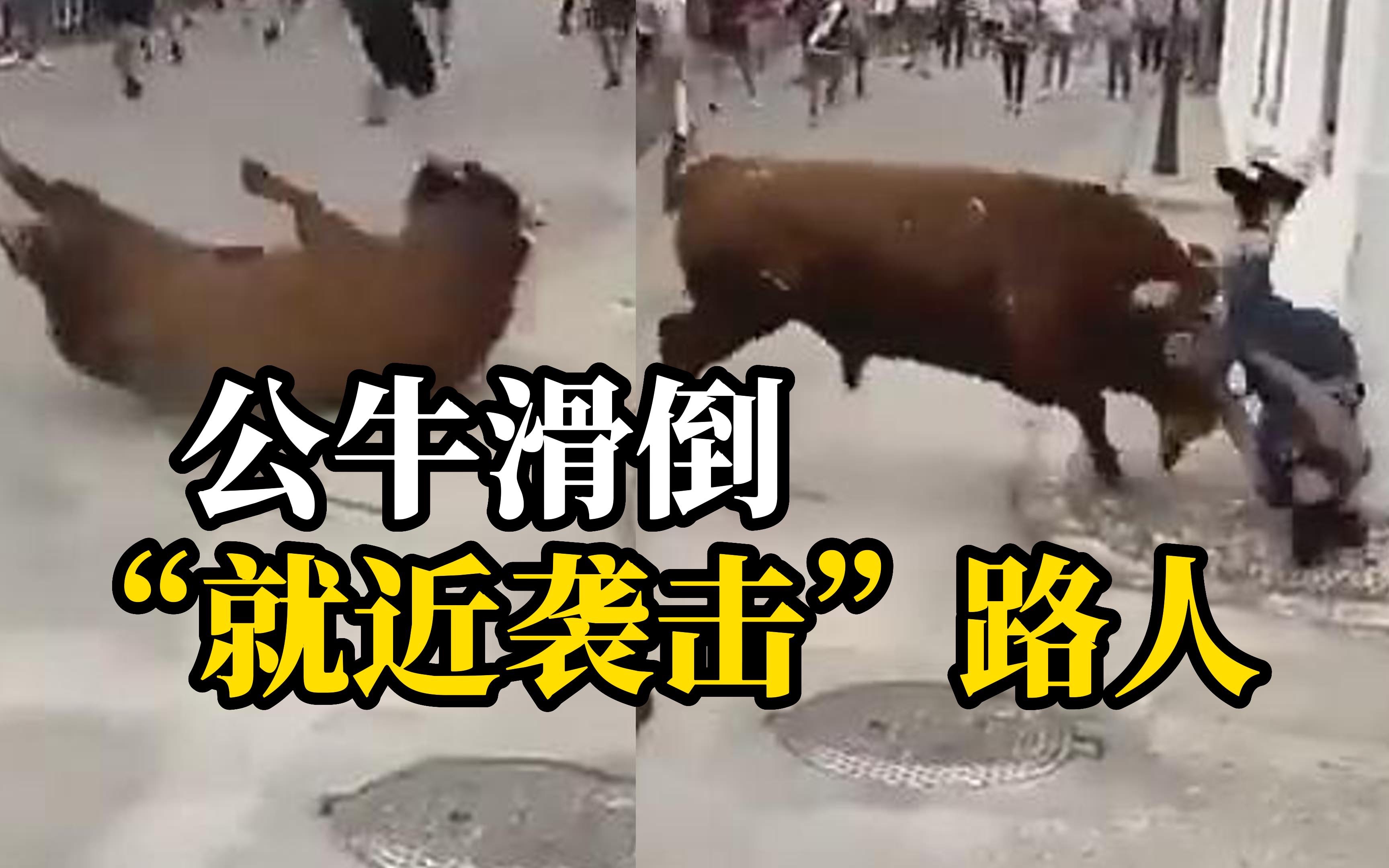 西班牙公牛追赶人群时滑倒，转头“撒气”顶翻专心玩手机女子