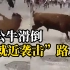 西班牙公牛追赶人群时滑倒，转头“撒气”顶翻专心玩手机女子
