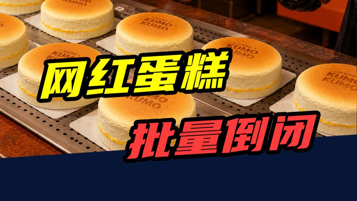 财经不眠姐