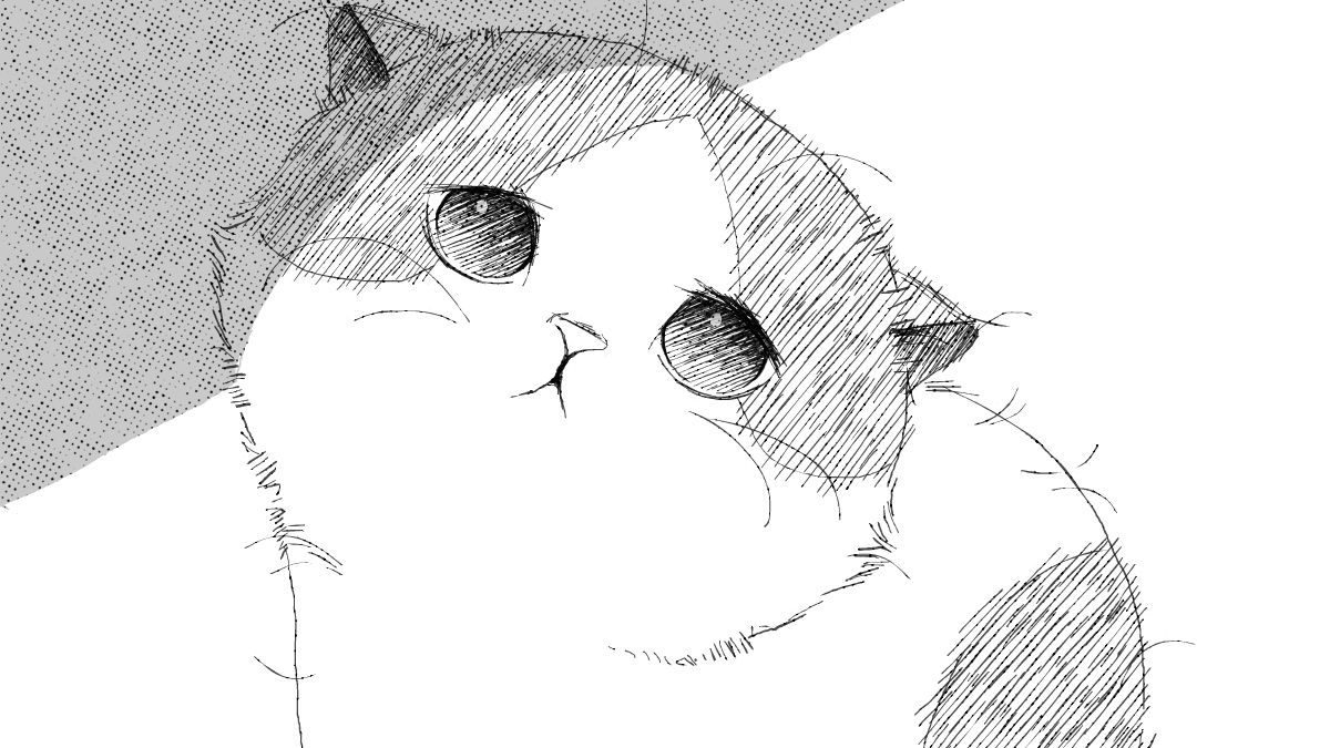 哦哦，小奶猫👆真棒！