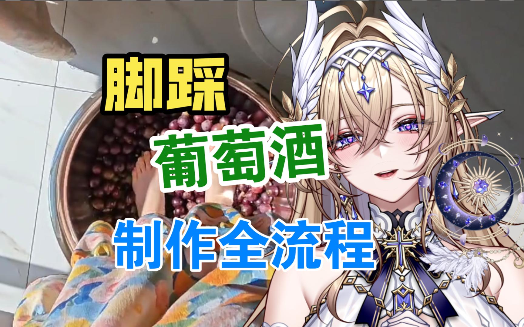 精灵骑士脚踩葡萄酒制作全流程：工具已做好消毒，请放心使用！