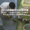 5只小豹猫跑出50只的效果 宠物店“无限循环式收猫”全网爆笑   店主说经常发生，顾客都看笑了