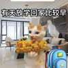 不能说的秘密