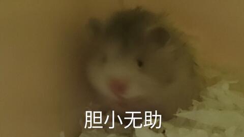 3c8d9090924446df1e3ccb28ba4e7f8fe337f8b2.jpg@480w_270h_1c