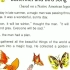 3-10 Butterflies and Bird Song