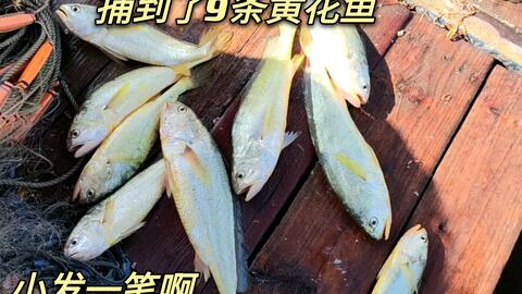 3c9c886701a34d843122b06ebb8b352f9ebedd3a.jpg@480w_270h_1c