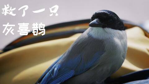 3c9d5536d225ce6c7d9946add4ac1057134bd1d5.jpg@480w_270h_1c