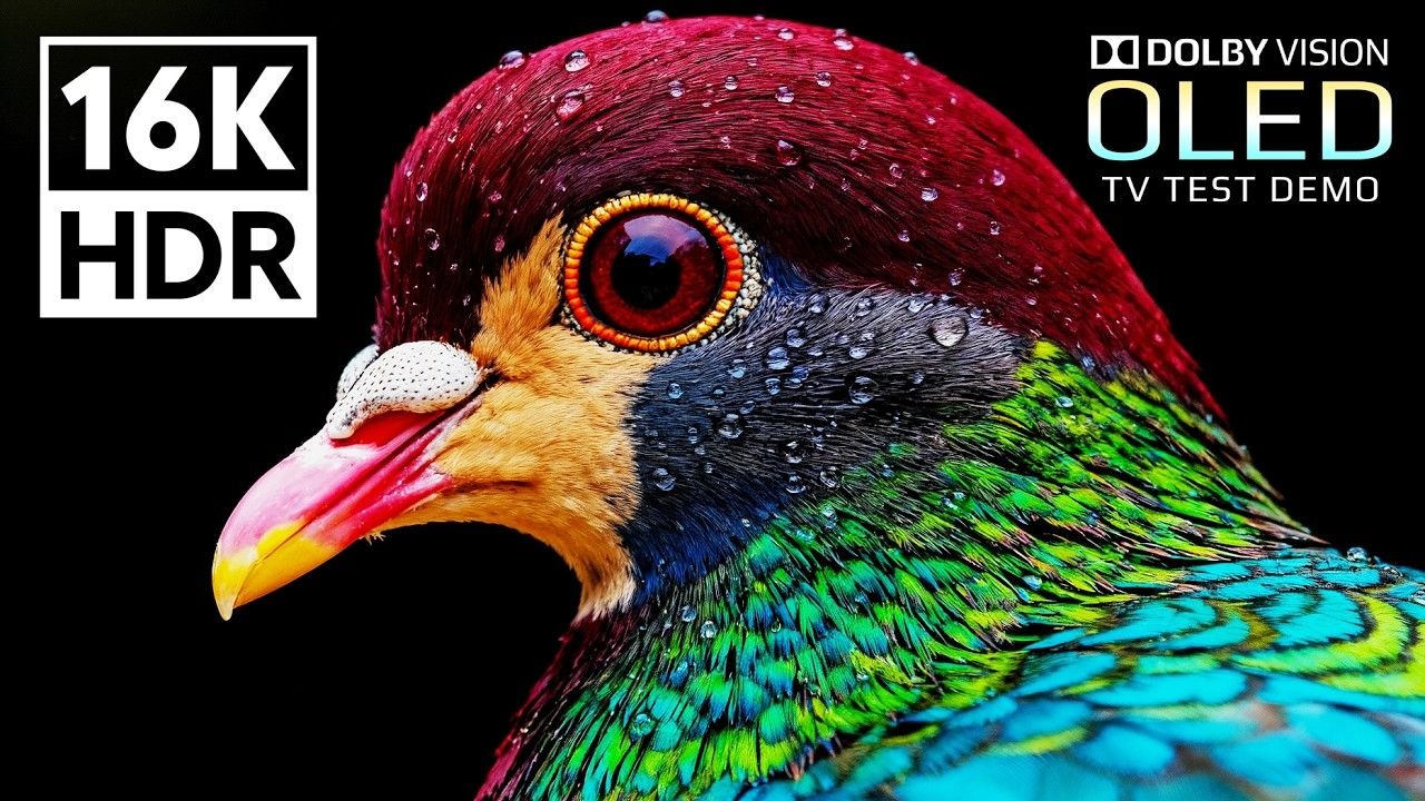 【16K HDR】令人惊叹的杜比视界 HDR 16K 视频 120fps（8K-4K OLED 电视）|杜比视界|电视屏幕测试|手机屏幕测试 |