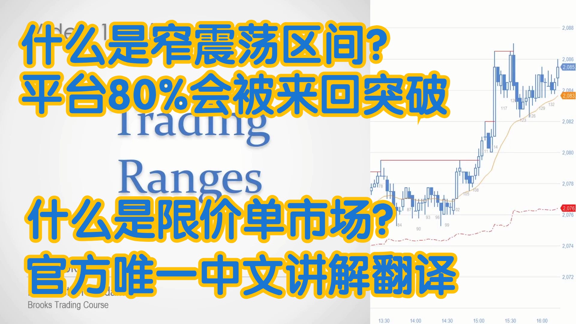 价格行为 - 18D窄震荡区间 平台80%概率会被来回突破 什么是限价单市场？ - 官方中文配音 A Brooks阿尔布鲁克斯 学委 方方土