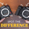 24MP vs 44MP：像素测试结果让我大吃一惊