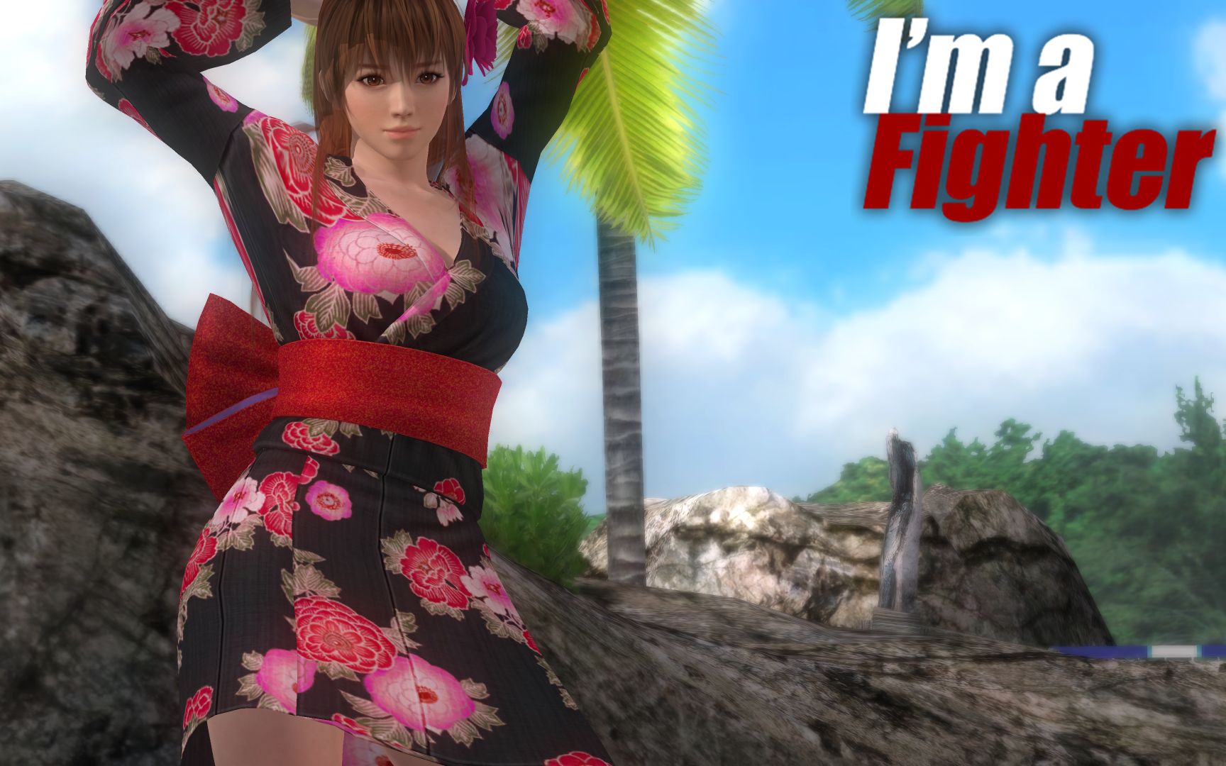 doa5lr玛丽罗斯phase4霞不知火舞rachel