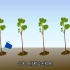 萌地球科普爆笑公益动画——节日环保系列——植树节：爱护地球 植树造林