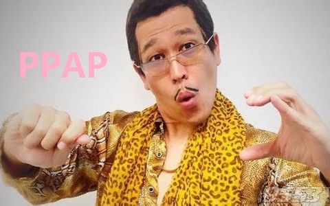 诸葛孔明~王司徒(ppap)