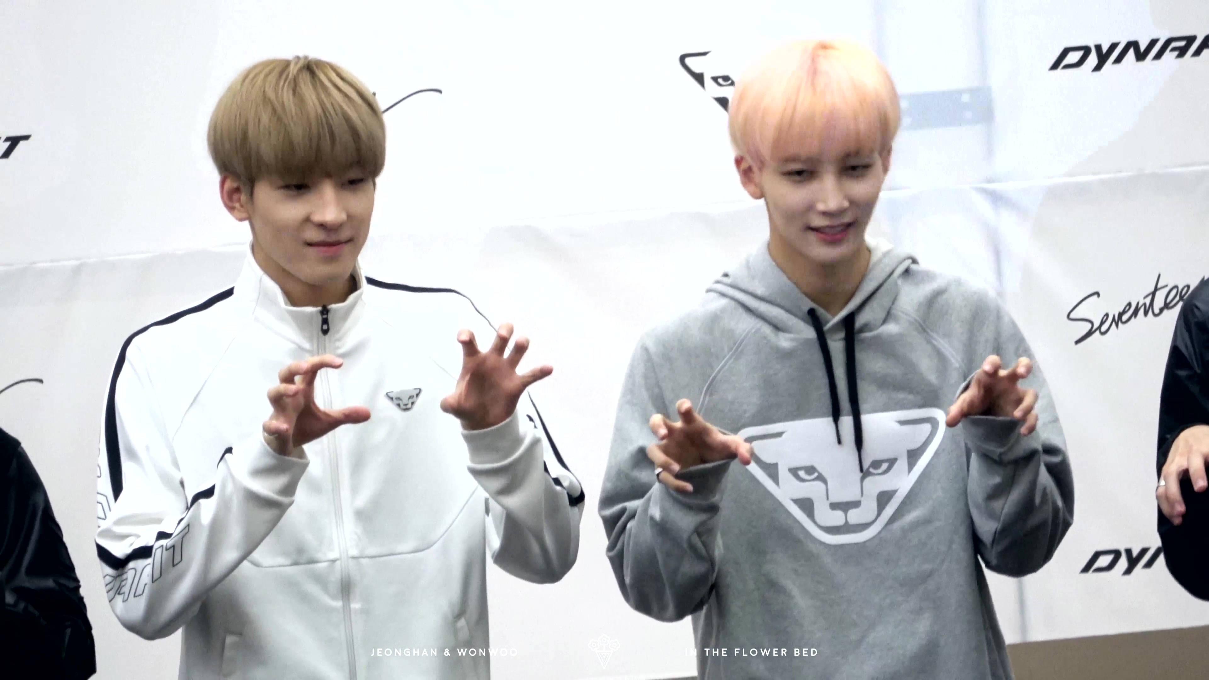 seventeen171026dynafit签售圆佑净汉focus猫爪w
