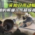 日本人到底有多爱熊猫？？？