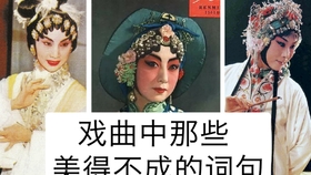 楚剧荞麦莫赶寿曲谱_荞麦
