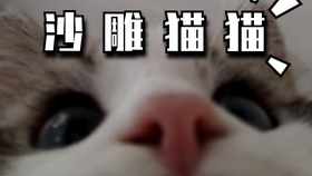 3d03f7d9c8a628f4aa53ca381b1abf3afcf26498.jpg@280w_158h_1c_100q.jpg