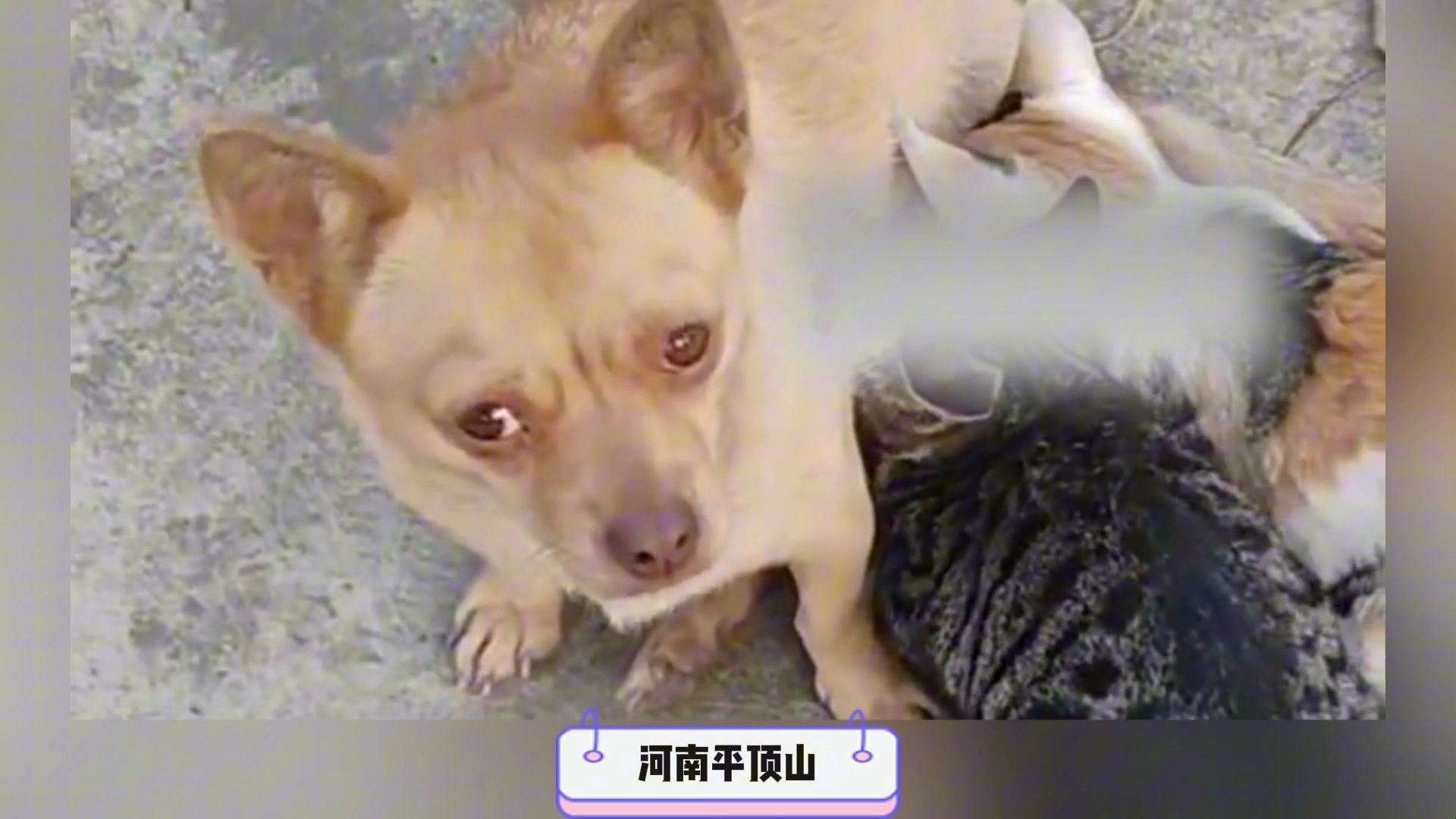 11月13日社会热点新闻事件速览，量大管饱