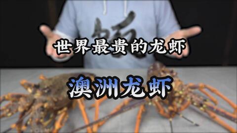 3d1619199071f9eae323b922e1782689e92b0896.jpg@480w_270h_1c