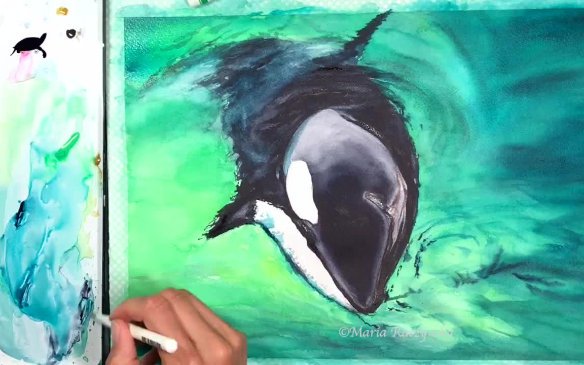 【水彩】水彩虎鲸绘画教程,maria raczynska分享| 搬运