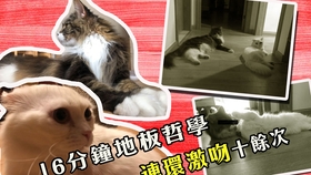 3d27a823f946b6a4285a36962c0e0b3f9e770752.jpg@280w_158h_1c_100q.jpg