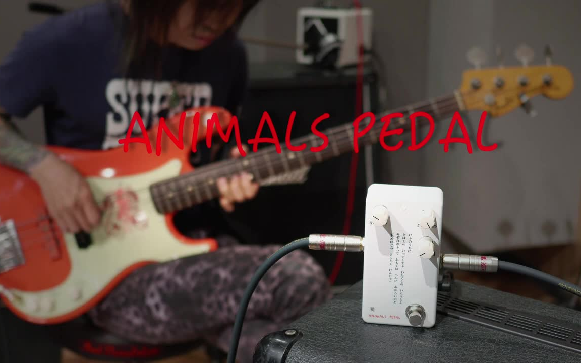 超歓迎された】 【極美品】Animals Pedal OD Bear Surfing