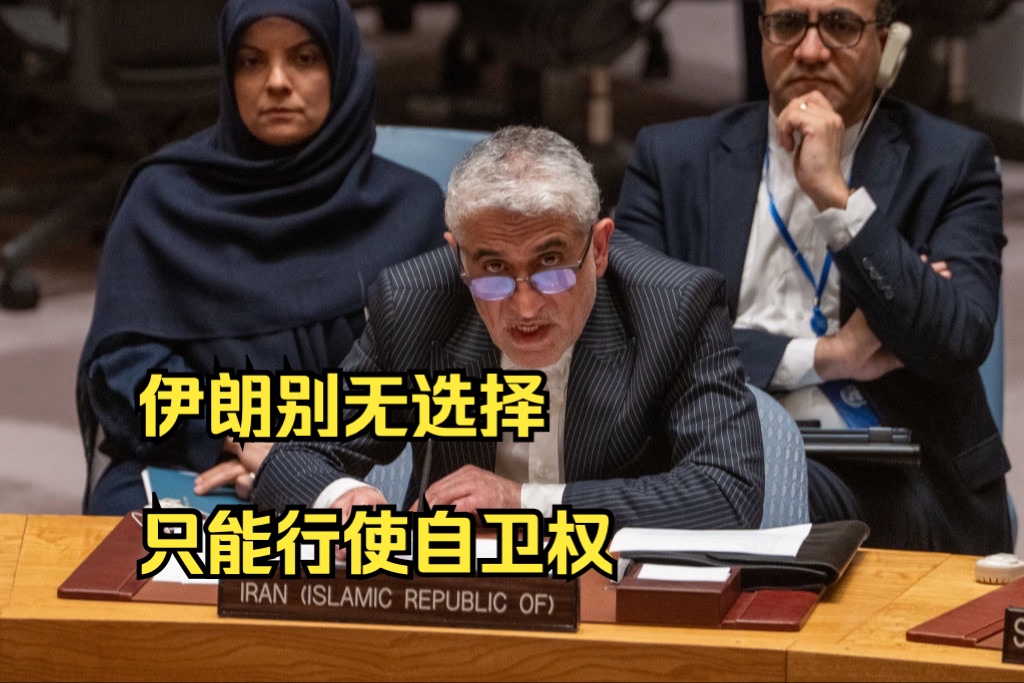 伊朗常驻联合国代表：伊朗别无选择只能行使自卫权