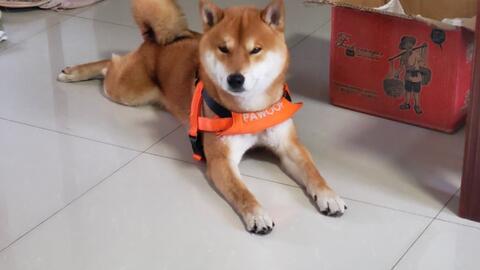 3d5dee8decfbf827d6efcb311aabb961251c6dc8.jpg@480w_270h_1c