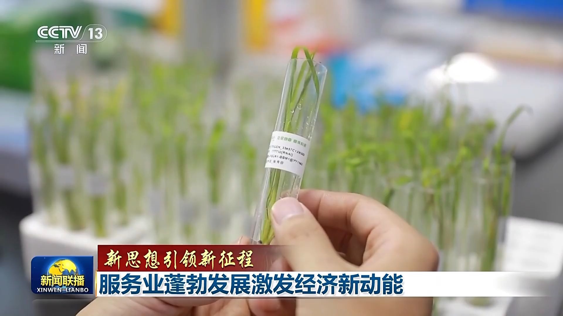 【新思想引领新征程】服务业蓬勃发展激发经济新动能