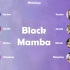 【aespa 双声道】Black Mamba - 不愧是SM准备了六年的新女团，VOCAL太强了！！我真香了，你呢？