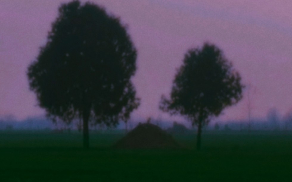 【怪核|weirdcore】詭春--再也無法栖息的夢