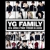 【蓝光演唱会】2014 YG Family – World Tour -POWER- in Japan
