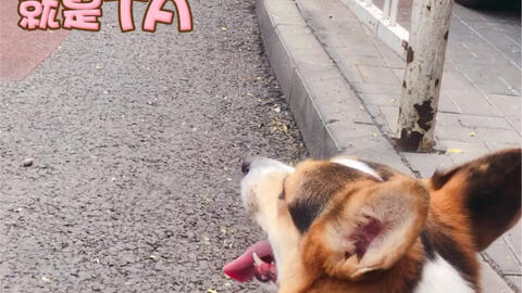 3d7c5b0c60ee4e4d4d12cb9b07750cc95b478fca.jpg@480w_270h_1c