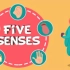 【Peekaboo Kiz】5大感官 The Five Senses  The Dr Binocs Show