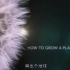 中英字幕-万物生长&植物之歌How-to-grow-a-planet.720p.BD-03