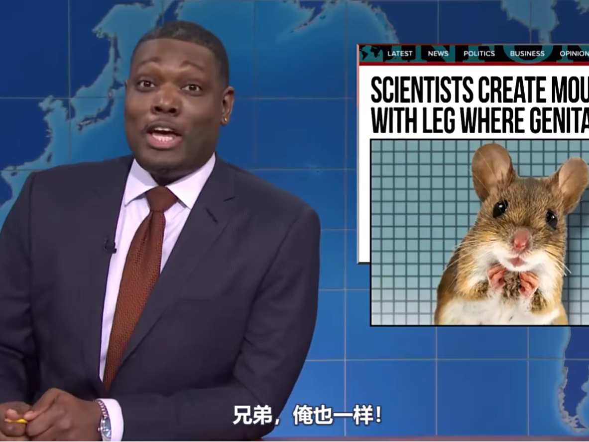 【SNL49中字】失算！老柴职业史上最大的耻辱/一周没品新闻 Weekend Update 2024.4.6