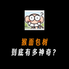 猴面包树到底有多神奇