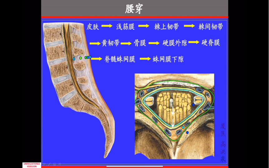 厦门医学院系统解剖学:神经系统第四十节—腰穿,腰麻