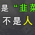 金融媒体为什么要把你定义为“韭菜”？（财经媒体下）【奇怪的传播学】