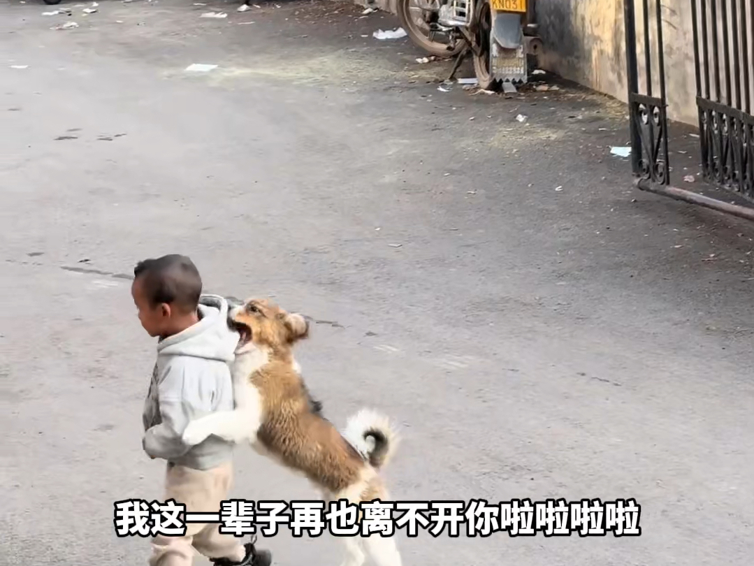 惹了小主人哄不好的那种