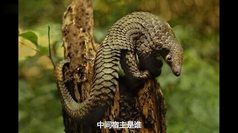 3dc8b5eddfaa133474bceac2c566e41e07908358.jpg@480w_270h_1c