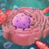 【生物动画】细胞核的结构和功能
