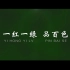 广西百色宣传片：一红一绿品百色