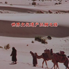 世界文化遗产丝绸之路