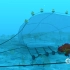 【油管】动画演示巨大的捕捞网是如何捕鱼的