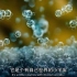微观世界：水分子的蒸发与凝结